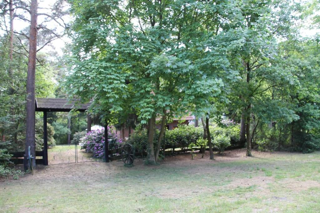 Ferienhaus Am Waldesrand Hatten Buitenkant foto