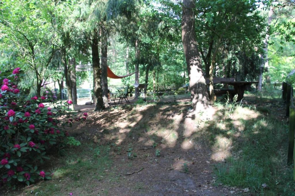 Ferienhaus Am Waldesrand Hatten Buitenkant foto