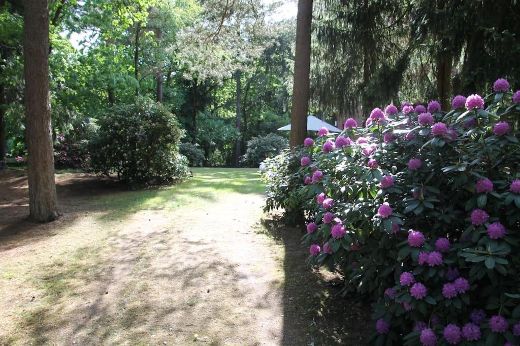 Ferienhaus Am Waldesrand Hatten Buitenkant foto
