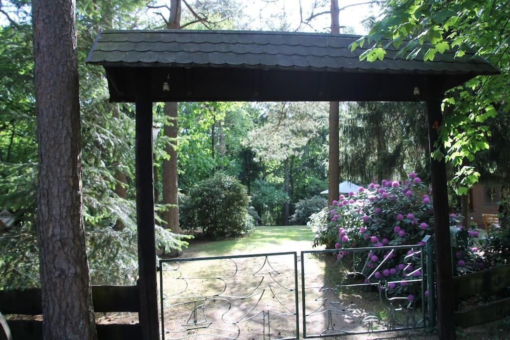 Ferienhaus Am Waldesrand Hatten Buitenkant foto